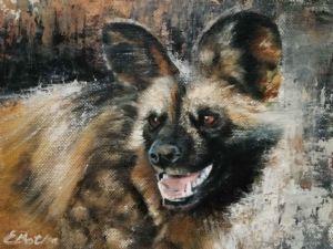 "African Wild Dog - 1"