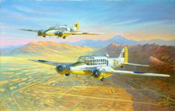 "Saaf Avro Ansons 47as Queenstown "