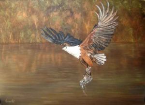 "Magnificent Fish Eagle"