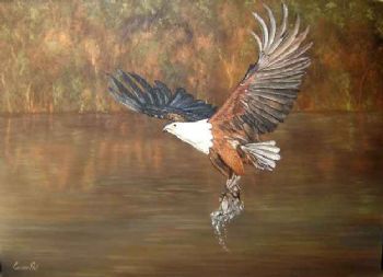 "Magnificent Fish Eagle"