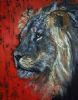 "Pride of Africa: Lion King"