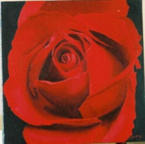 "Red Rose 1"