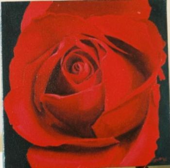 "Red Rose 1"