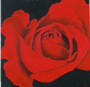 "Red Rose3"
