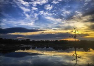 "Pan Reflections"
