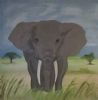 "Serengeti Elephant"