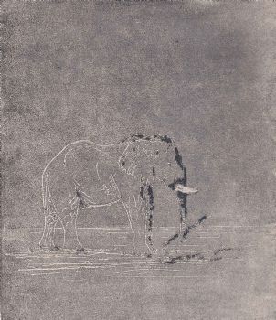 "Namibias Great Spirits 08"