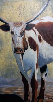 "The Nguni"