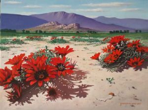 "Red Gazanias"