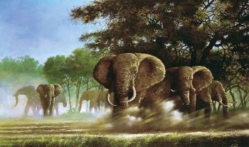 "Kicking Up Dust"