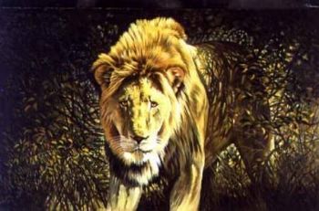 "African Challenge <b>STOLEN</b>"