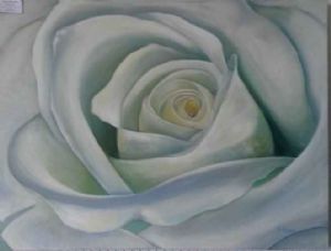 "White Rose"