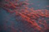 "Untitled Tropospheric Study II"