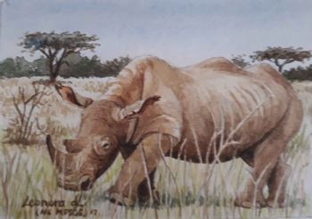 "Miniature - Rhino"