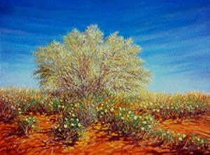"Devil's Thorn Kalahari"