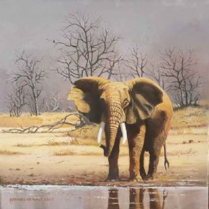 "Elephant at Waterhole"
