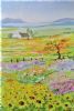 "Namaqualand"