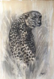 "Cheetah Gaze"