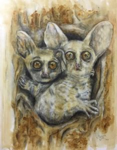 "Nagaapies - Bush Babies"