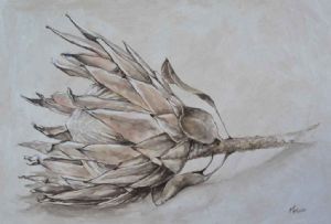 "Protea on table"