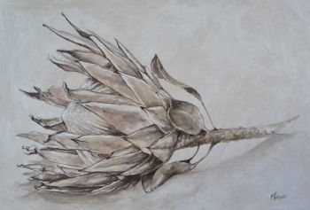 "Protea on table"