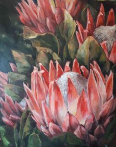 "Proteas"