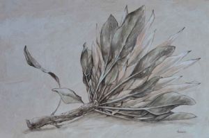 "Protea on Table"