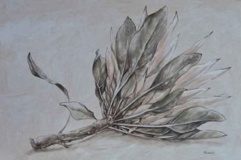 "Protea on Table"