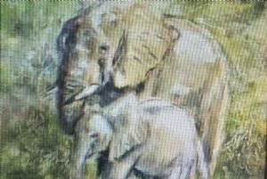"Elephant and Calf"