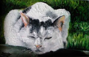 "The Cat Called Cuddles"