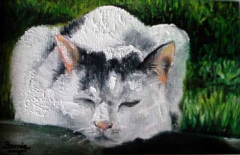 "The Cat Called Cuddles"