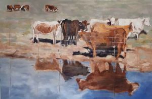 "Happy Karoo Cows"