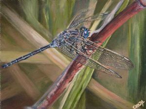 "Dragonfly IV"