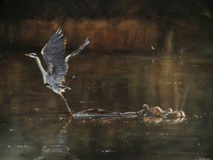 "The Heron and the Hippo"