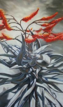 "Aloe"