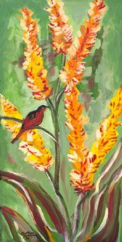 "Sugarbird and Aloe"