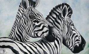 "Zebras"