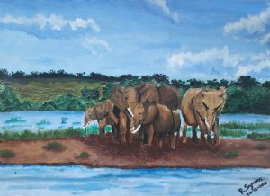 "Elephant Water Hole "