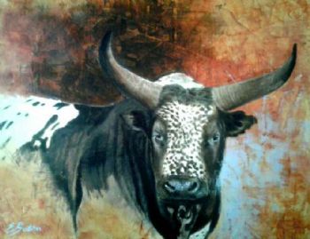 "Nguni"
