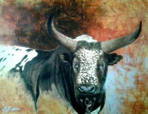 "Nguni"