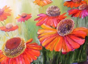 "Rudbeckia Hirta"