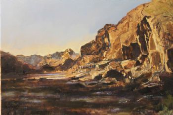 "Karoo Beauty - Geelbek River Bed"