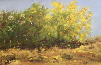 "Changing Seasons"