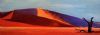 "Namib dunes"