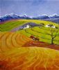 "Canola Fields"