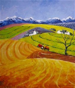 "Canola Fields"