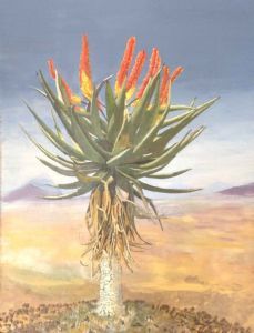 "Aloe on the Ridge"
