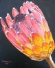 "Protea 1"