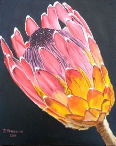 "Protea 1"