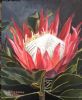 "Protea 3"